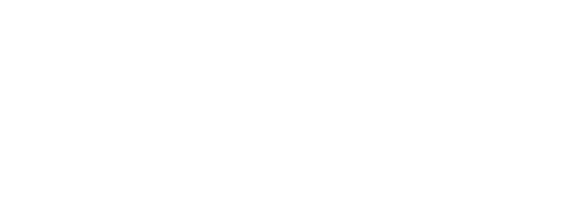 GSG Cargo